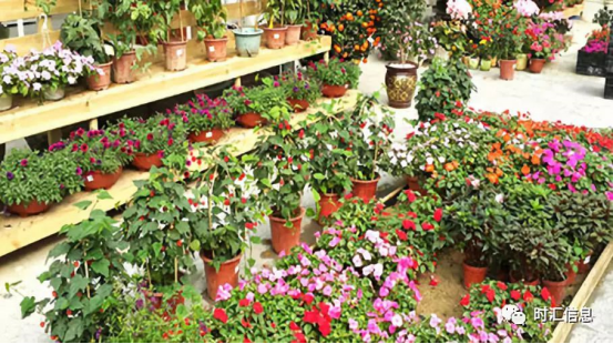 真的(de)勇士,敢于直面勇士漂——時(shí)彙信息黃(huáng)騰峽漂流記 真的(de)勇士,敢于直面勇士漂——時(shí)彙信息黃(huáng)騰峽漂流記