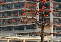 廣東(dōng)工(gōng)業(yè)大(dà)學番禺校(xiào)區(qū)國(guó)際教育學院無線網絡建設項目