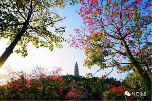 “時(shí)時(shí)關愛(ài),彙聚同心”時(shí)彙信息首屆公益徒步活動完美(měi)收官 “時(shí)時(shí)關愛(ài),彙聚同心”時(shí)彙信息首屆公益徒步活動完美(měi)收官