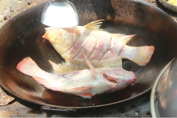 濃情九月(yuè),我們的(de)戶外(wài)之旅 濃情九月(yuè),我們的(de)戶外(wài)之旅