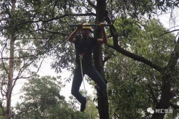 奏響時(shí)彙的(de)青春樂(yuè)章(zhāng) 奏響時(shí)彙的(de)青春樂(yuè)章(zhāng)