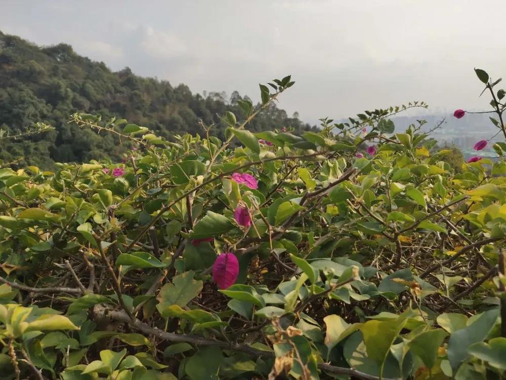 團建|放(fàng)飛(fēi)心情,快(kuài)樂(yuè)戶外(wài)行(xíng) 團建|放(fàng)飛(fēi)心情,快(kuài)樂(yuè)戶外(wài)行(xíng)