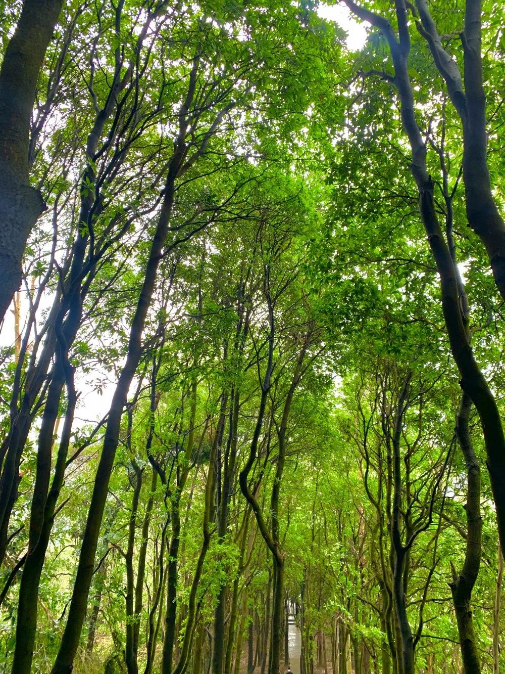 團建|放(fàng)飛(fēi)心情，快(kuài)樂(yuè)戶外(wài)行(xíng)