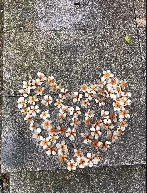 團建|放(fàng)飛(fēi)心情，快(kuài)樂(yuè)戶外(wài)行(xíng)